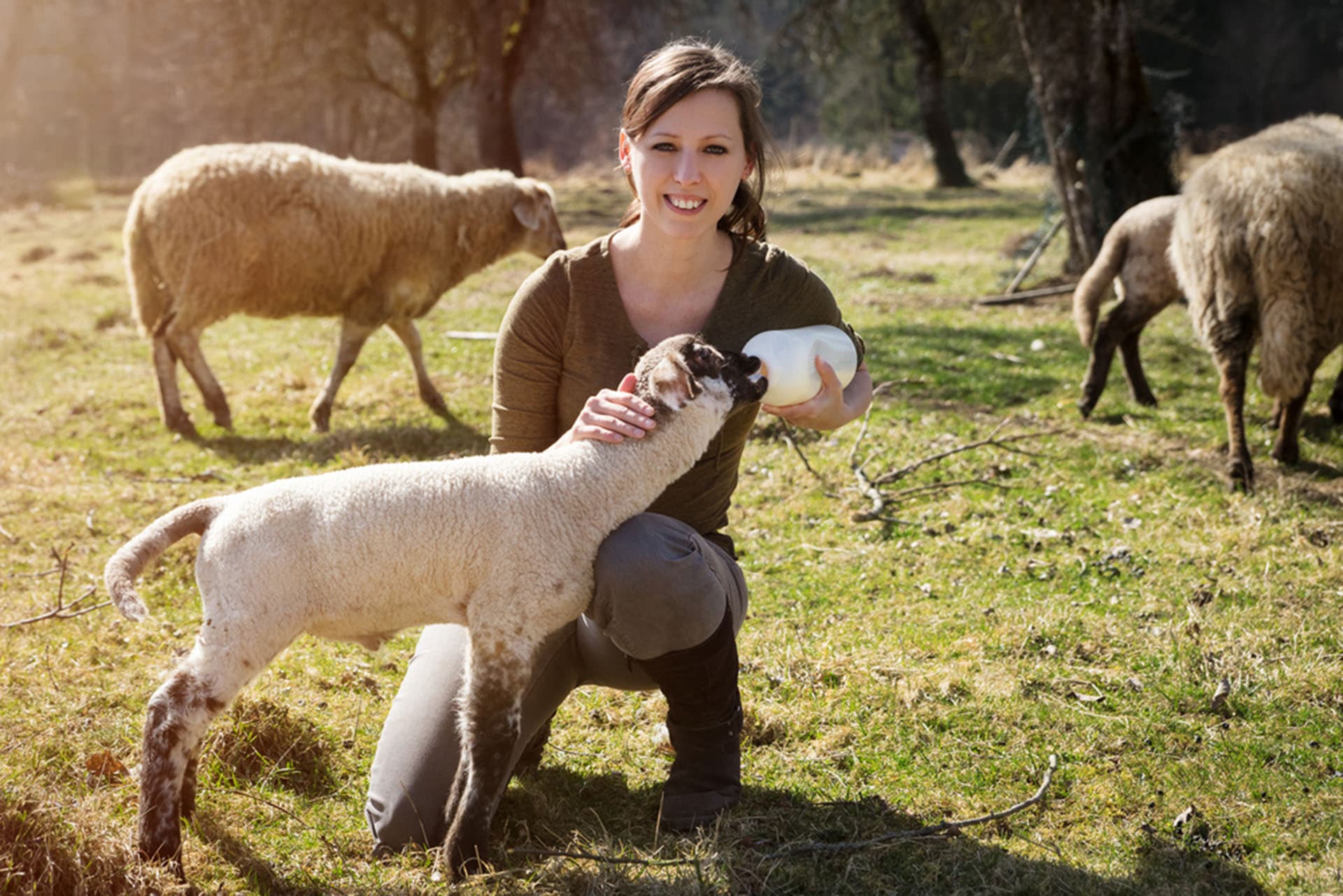 Animal Health / Feed